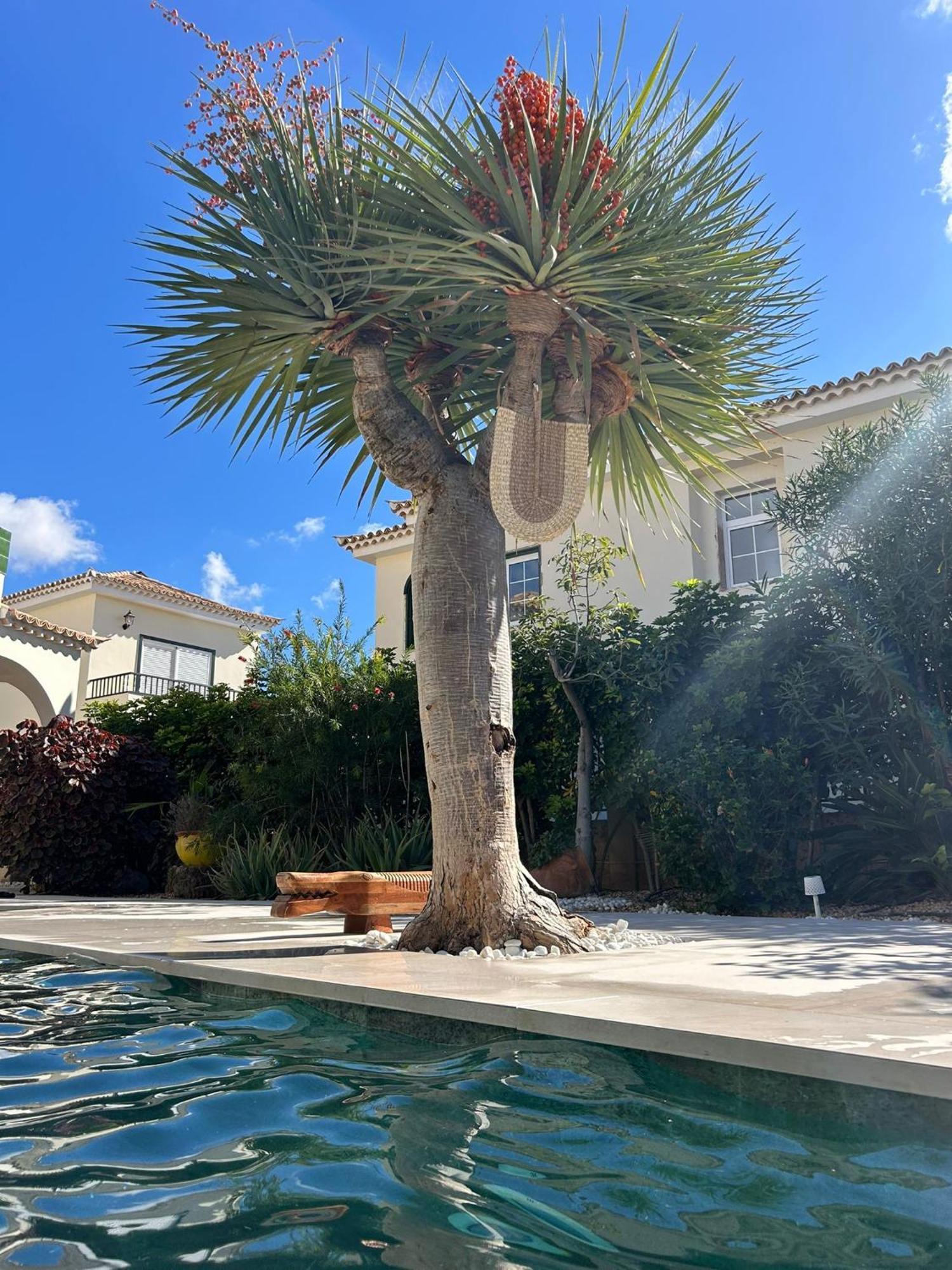 Villa Ibiza - Beautiful House With Private Pool Chayofa Kültér fotó